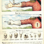 Codex Seraphinianus читать Книга Codex Seraphinianus