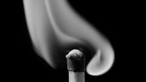 Жив Курилка!