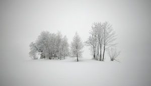 фильтр минусинск